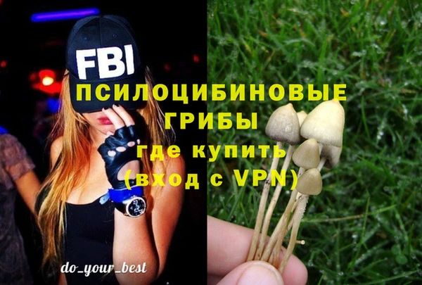 гидропоника Михайлов