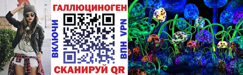 гидра tor  Сосновка  Галлюциногенные грибы мицелий  наркота 