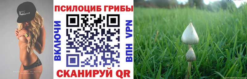 Псилоцибиновые грибы Magic Shrooms Сосновка