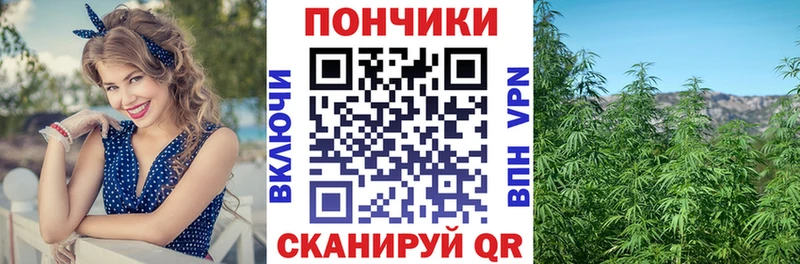 Шишки марихуана марихуана  Сосновка 